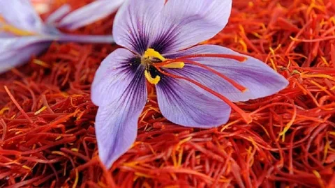 قیمت زعفران صادراتی